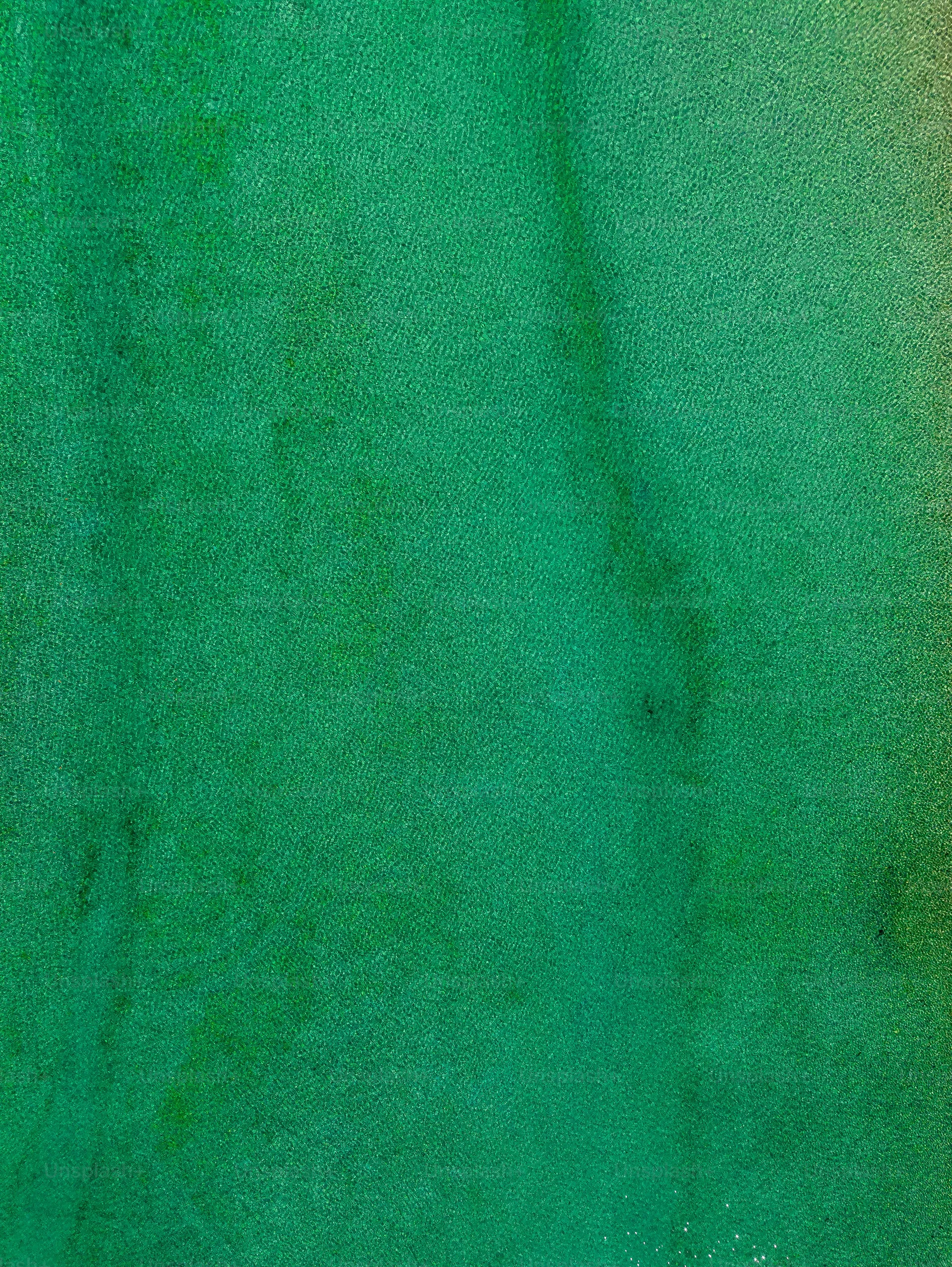 The Science of Trauma Recovery: A Compassionate Guide