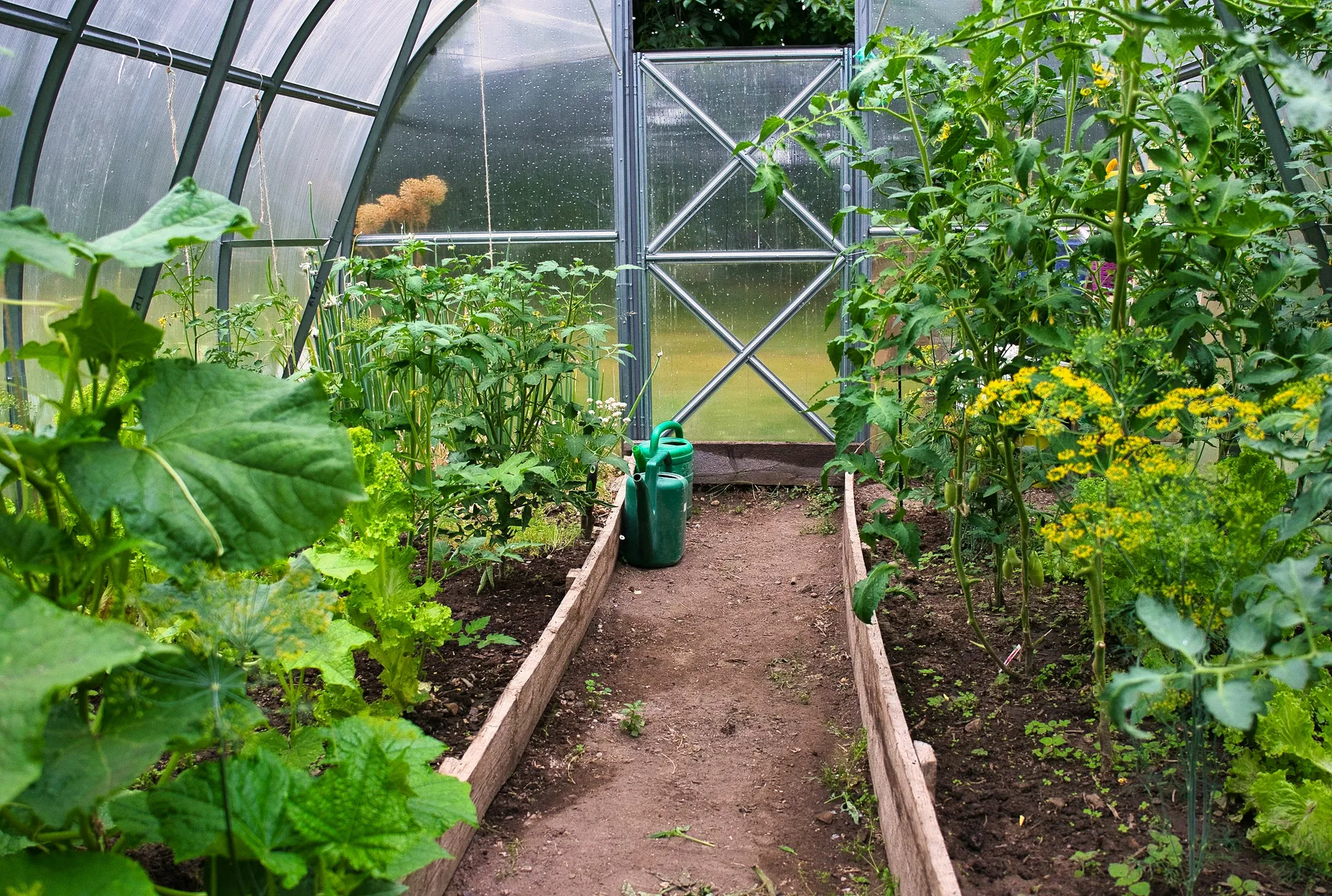 The Power of Hobbies